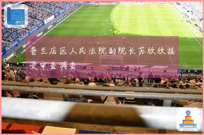 普兰店区人民法院副院长苏欣欣接受审查调查