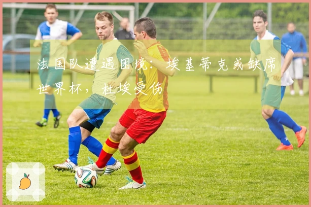法国队遭遇困境：埃基蒂克或缺席世界杯，杜埃受伤