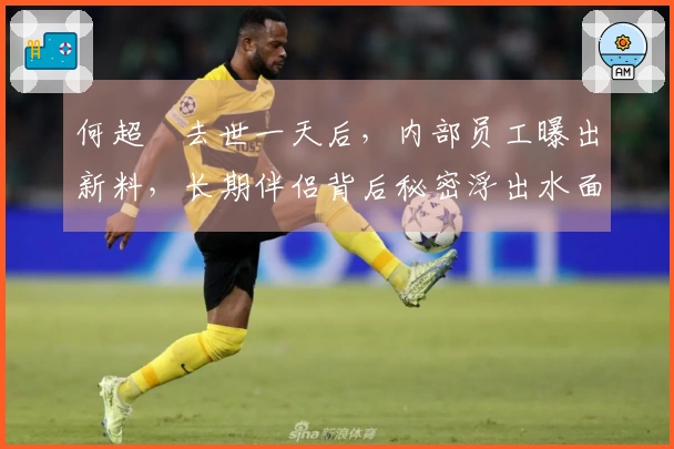 何超蕸去世一天后，内部员工曝出新料，长期伴侣背后秘密浮出水面